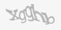 Защитный код